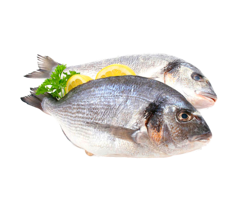 Kurumsal Toplu Yemek Hizmeti (Günlük Menü)